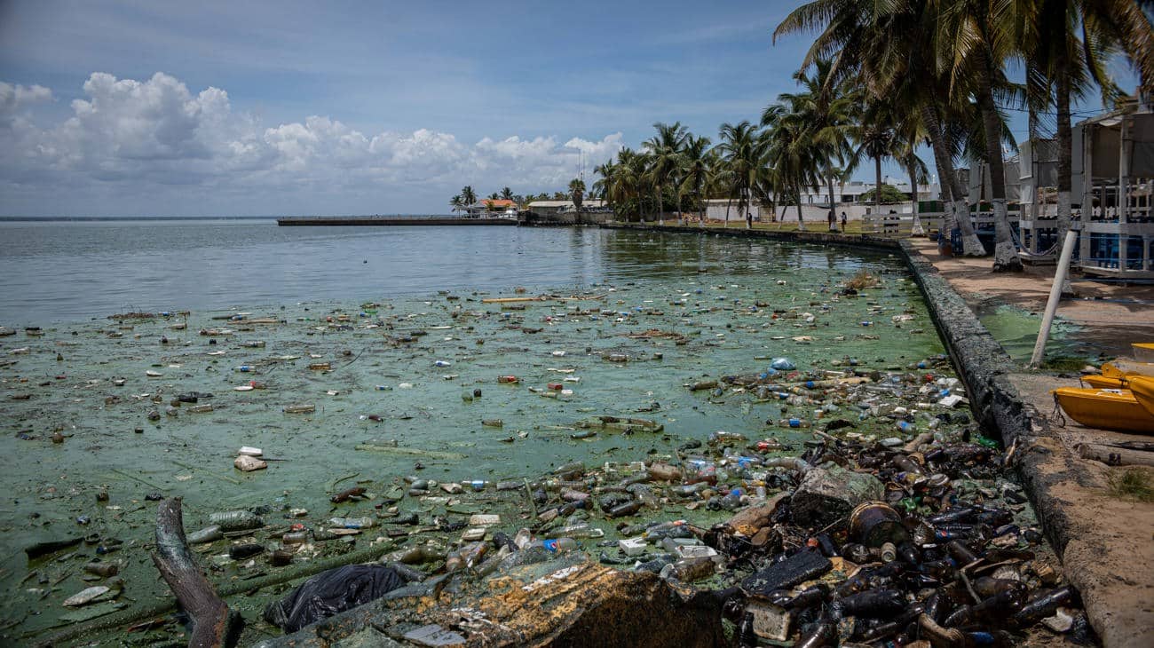 Producci N Pesquera Disminuy Por Contaminaci N En El Lago De Maracaibo