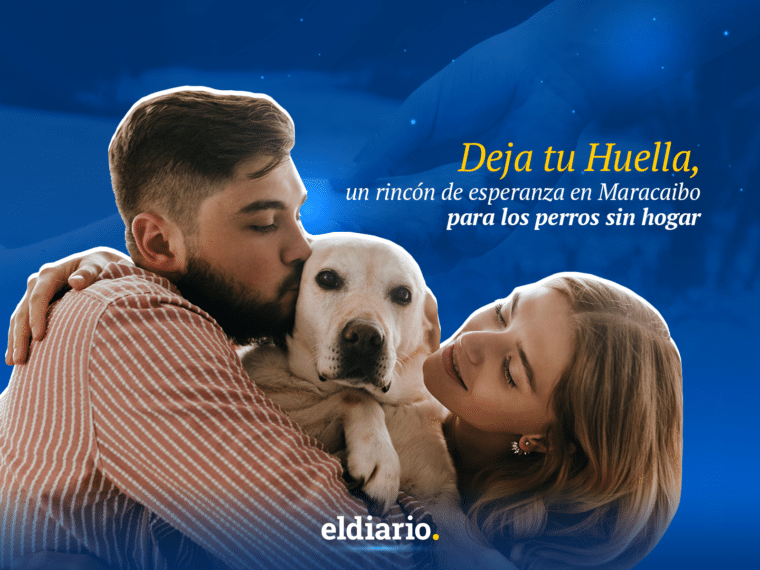 Deja tu Huella, un rincón de esperanza en Maracaibo para los perros sin hogar