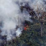Desastres naturales que marcaron 2019