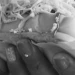 “Lo más bonito de ser perrocalentera es poder llevar comida todos los días a mi casa”