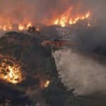 ¿Fuertes lluvias acaban con los incendios en Australia?