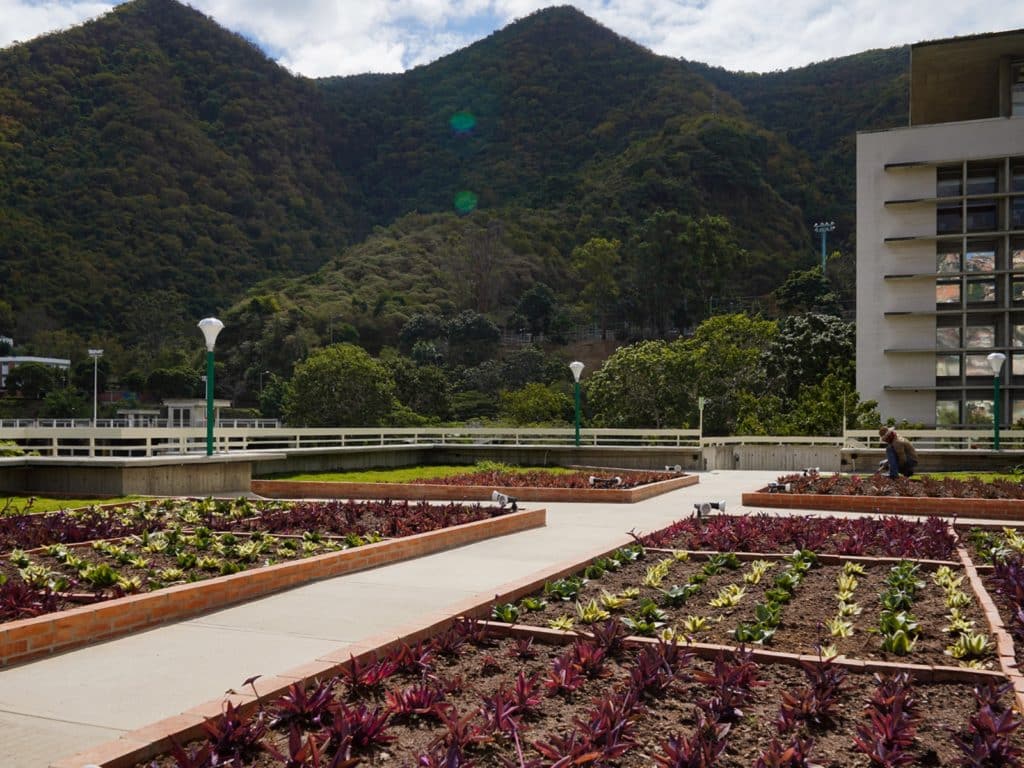 Cuatro universidades venezolanas están entre las 100 mejores de Latinoamérica