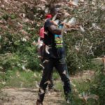 Langosta del desierto, una plaga que se expande por países de África