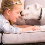 10 claves para que dueños de mascotas afronten la cuarentena
