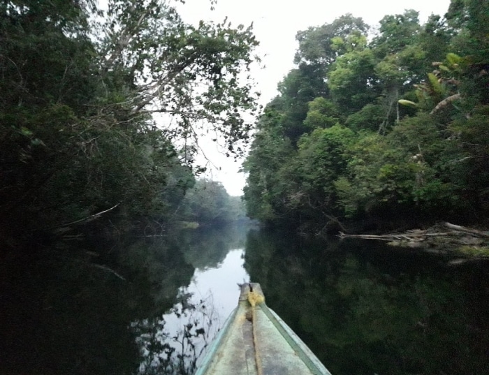 Cuenca del río Cataniapo, reservorio cultural y ancestral del pueblo Piaroa en el Amazonas venezolano