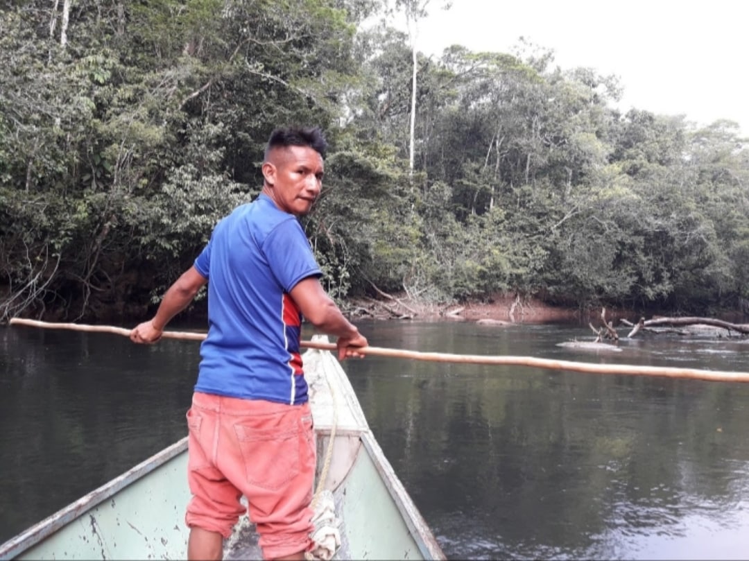 A 20 años de los derechos indígenas en la Constitución de 1999