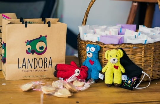 La Tiendita de Landora: un emprendimiento de felicidad para los más pequeños