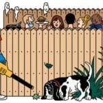 ¿Qué hacemos con los vecinos que rompen las reglas de distanciamiento?