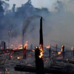 Incendios en la Patagonia