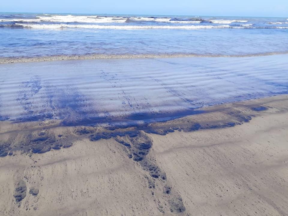 Derrame petrolero en Falcón pone en peligro flora y fauna de las playas