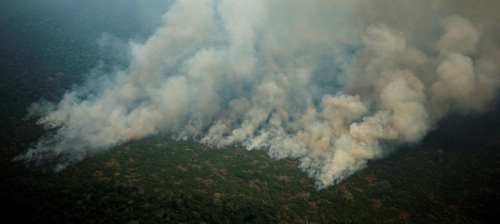 Los efectos en la salud que ocasionan los incendios en el Amazonas