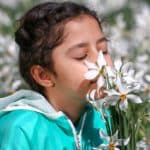 Acuerdo DEA y designación de las FAES como “terroristas”: implicaciones de las futuras medidas