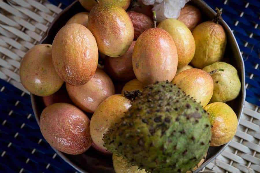 En las zonas se cultivan aguacates, mangos y otras frutas