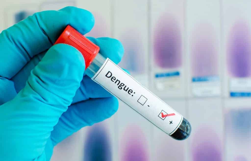 La epidemia de dengue avanza en paralelo con el covid-19 en Venezuela