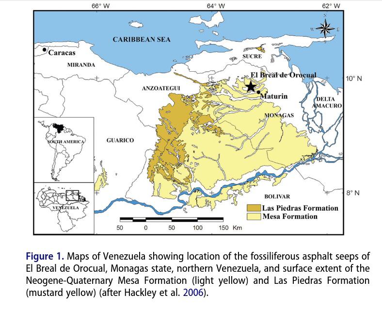 El paleontólogo venezolano que halló al murciélago vampiro más antiguo del mundo