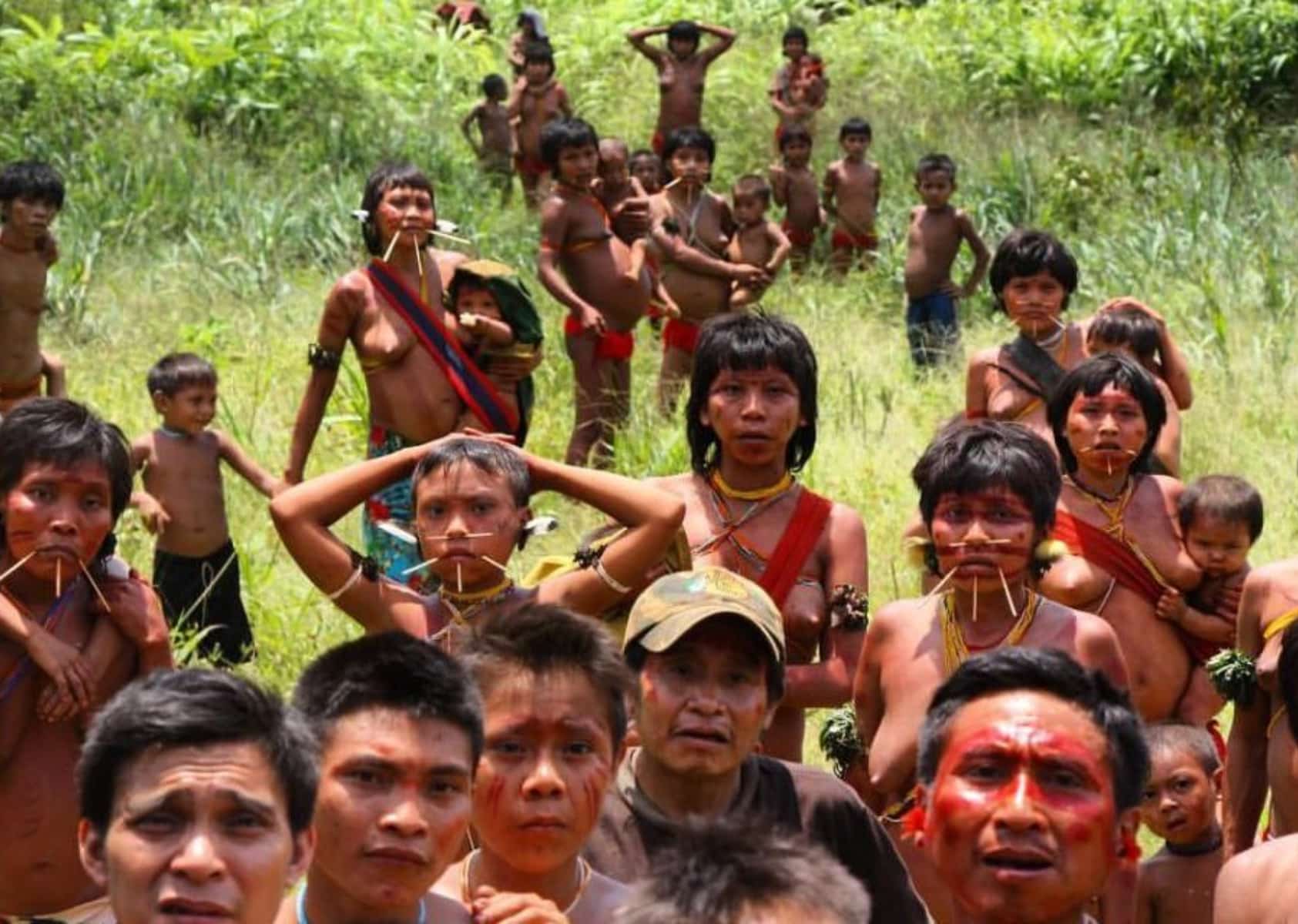 ¿En qué consiste el plan para introducir la enseñanza de idiomas