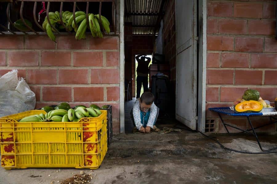 Las ciudades venezolanas se ruralizan agobiadas por la escasez y el hambre
