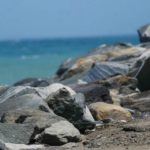 Las medidas que serán aplicadas para acceder a las playas en Venezuela