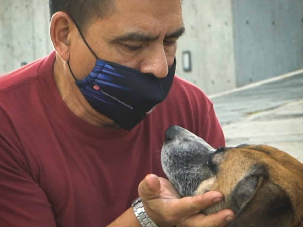 La emotiva historia de un caraqueño que alimenta a perros abandonados
