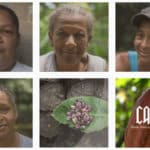 El proyecto inspirador que nació en Cata y ayuda a las mujeres cacaoteras venezolanas