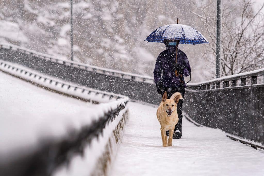 20 fotos de la gran nevada en España y otros países europeos
