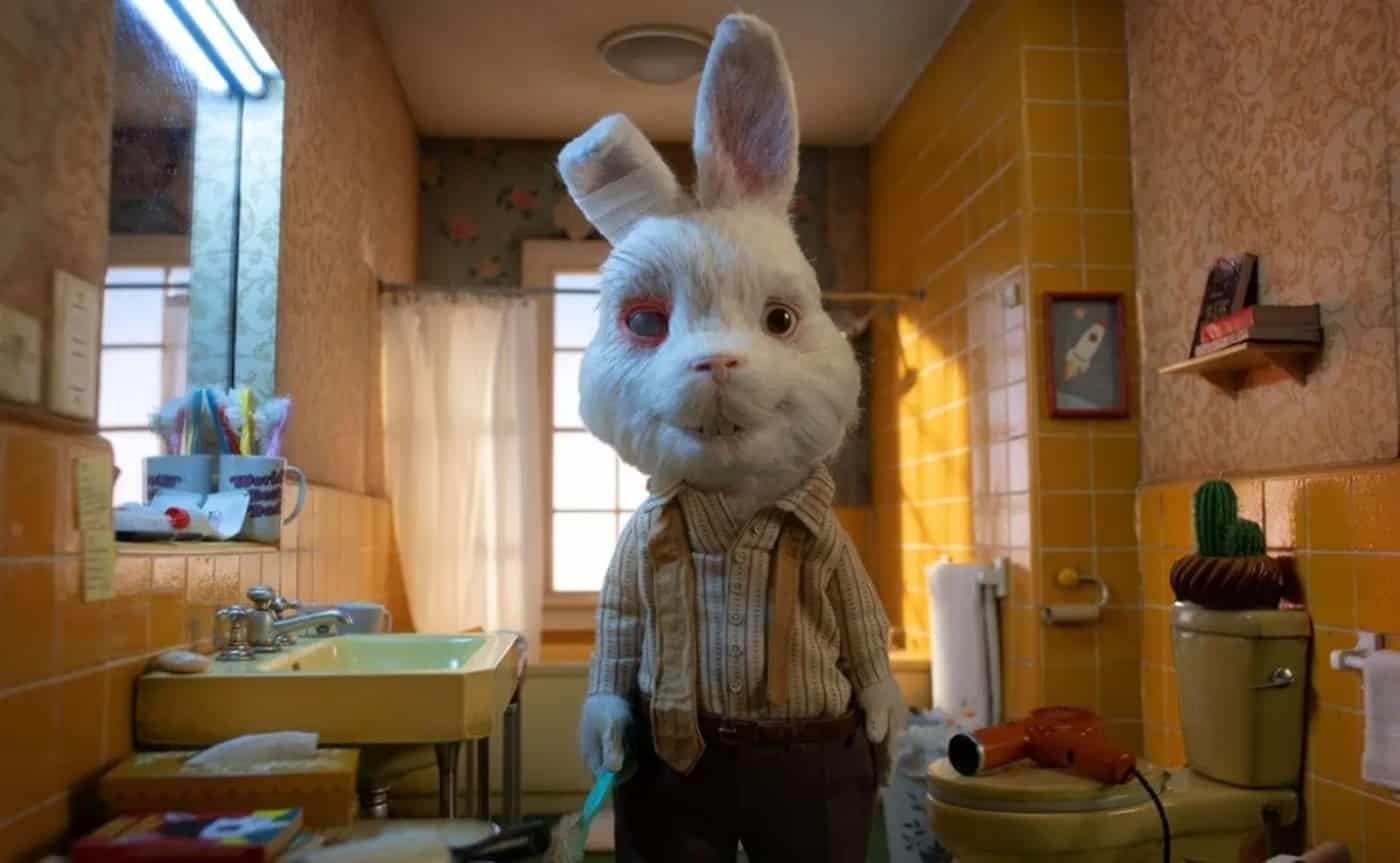 Ralph, el conejo que visibilizó la crueldad animal en la industria cosmética