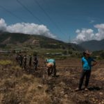 Productores piden combustible y financiamiento para continuar trabajando