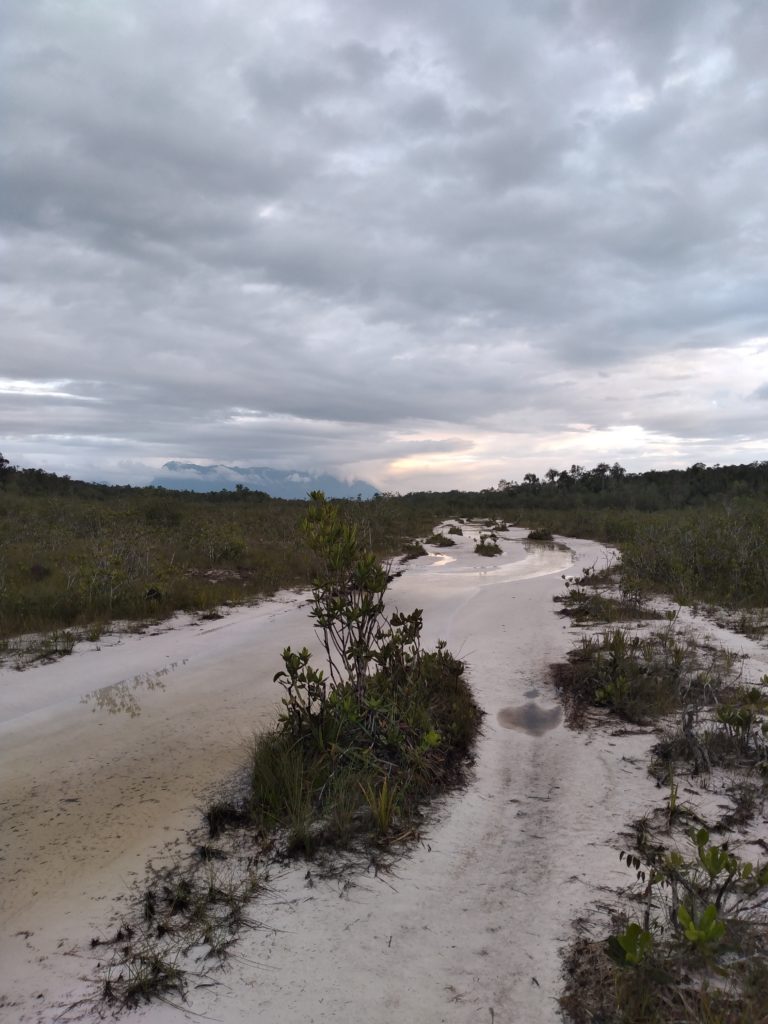 Las rutas prohibidas de las minas del Amazonas