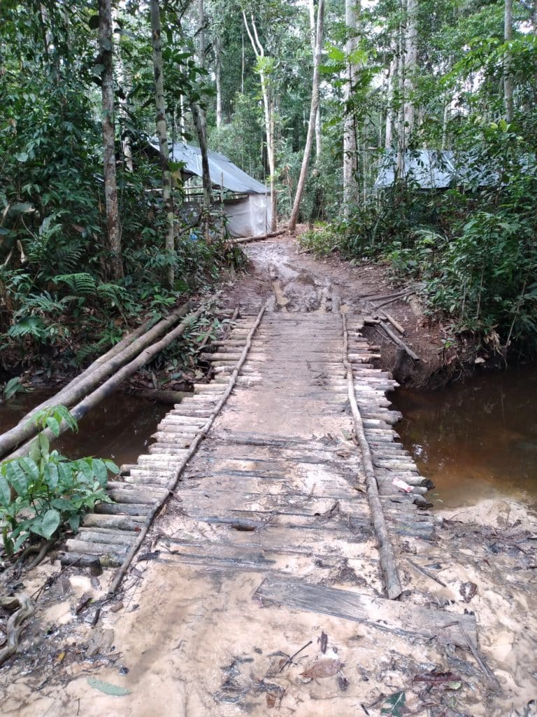Las rutas prohibidas de las minas del Amazonas