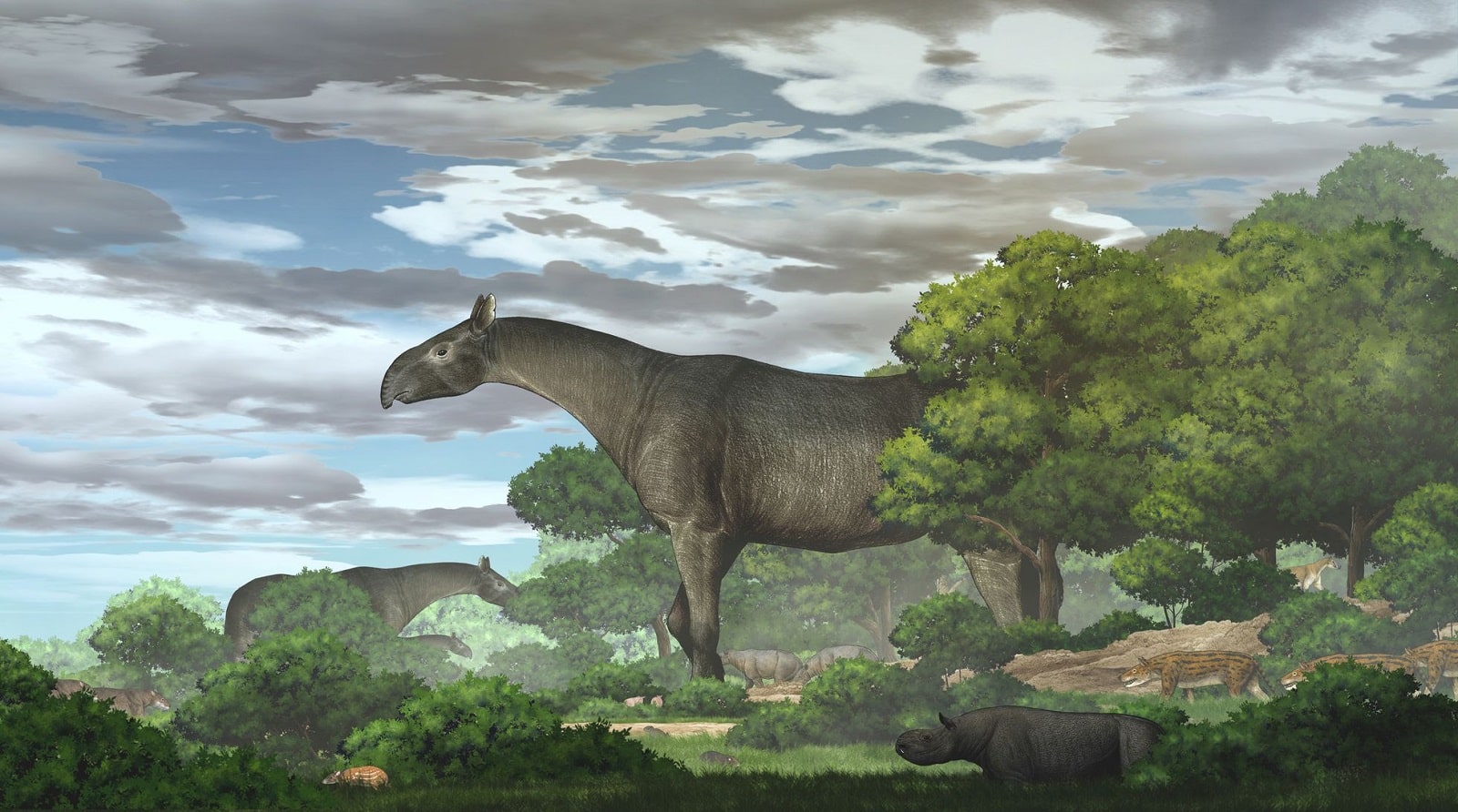 El descubrimiento de un fósil de rinoceronte gigante y otros hallazgos que han marcado la historia