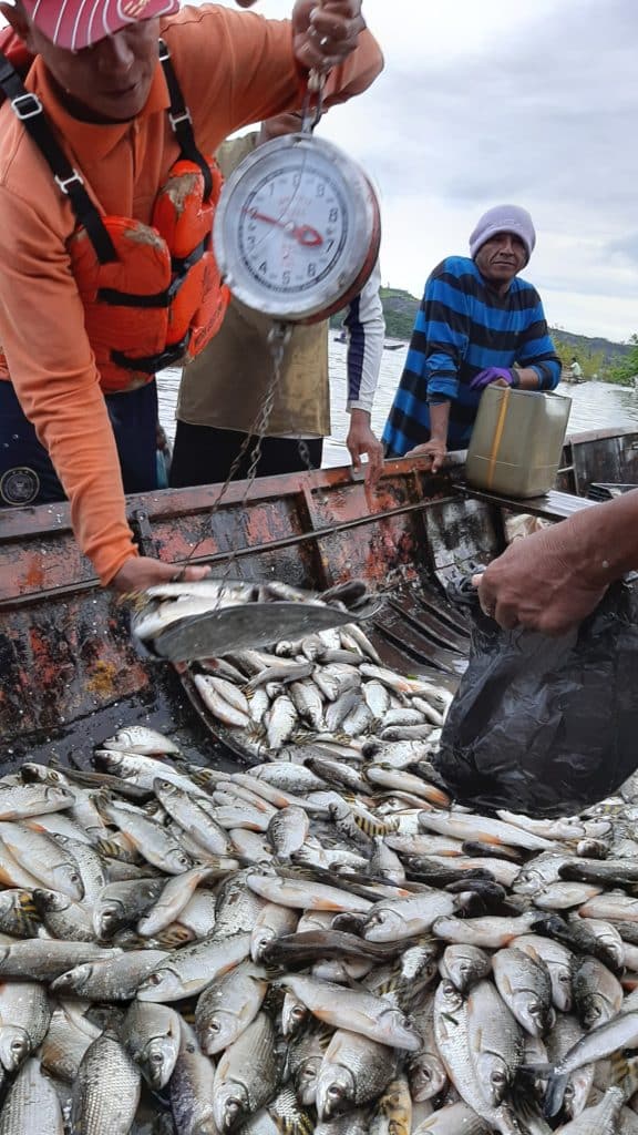 Pescadores venden lo que recogieron en su faena hasta en 1.000 pesos