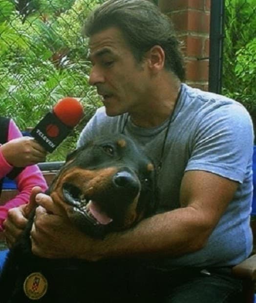 La historia de Orión: el perro que salvó más de 30 vidas en la tragedia de Vargas