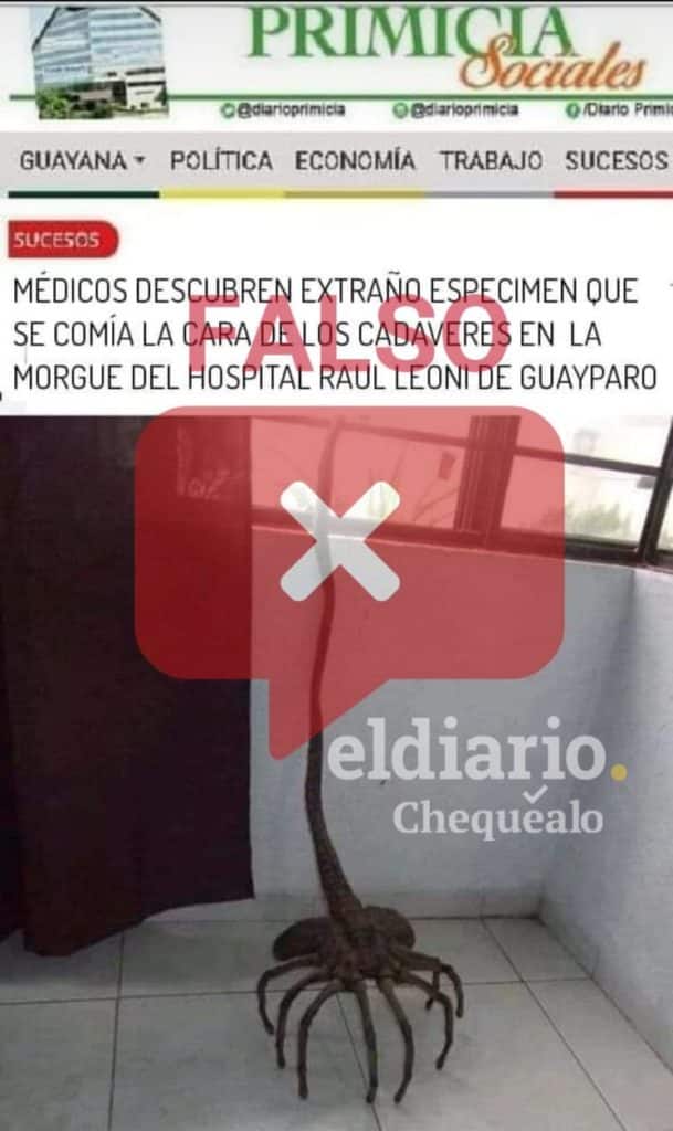 ¿Descubrieron extraño espécimen que comía cadáveres en la morgue del Hospital Raúl Leoni de Guaiparo?