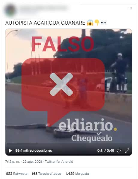 ¿Video de una anaconda en una carretera fue grabado en la autopista Acarigua-Guanare?