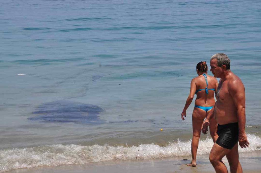 Alertan de presencia de manchas de petróleo en algunas playas de La Guaira
