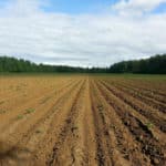 El sector agropecuario venezolano necesita financiamiento para su recuperación