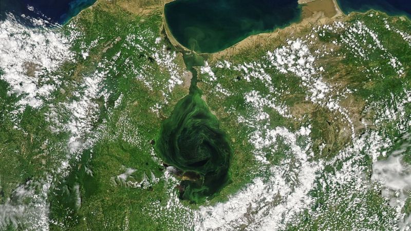 Las imágenes de satélite que muestran cómo el lago Maracaibo se está volviendo verde (y las consecuencias fatales que tiene)