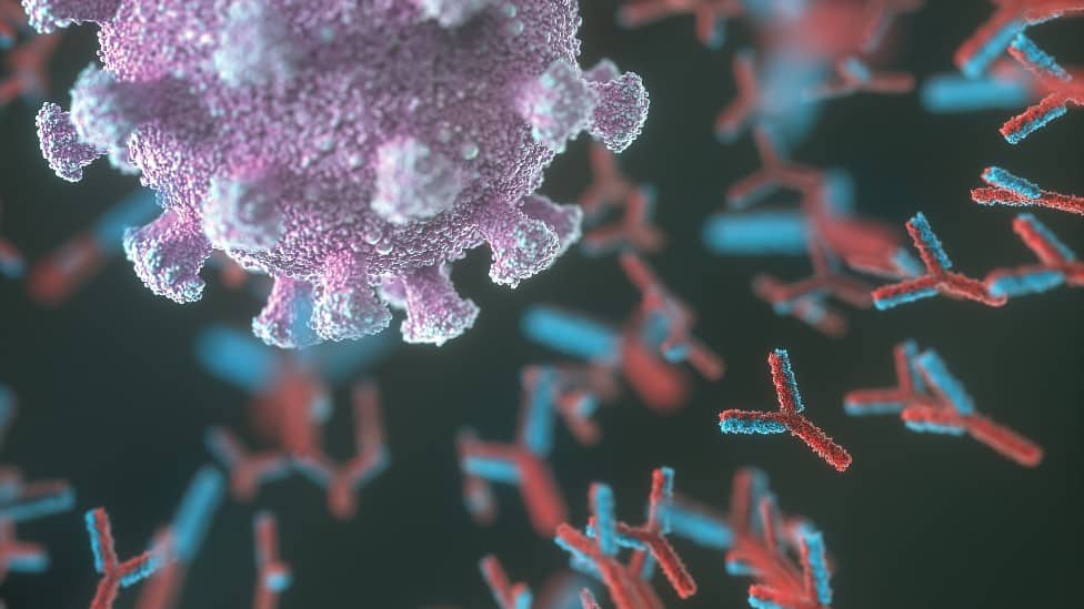 Venecápital: “Queremos poner a Venezuela en el radar de los inversionistas extranjeros”