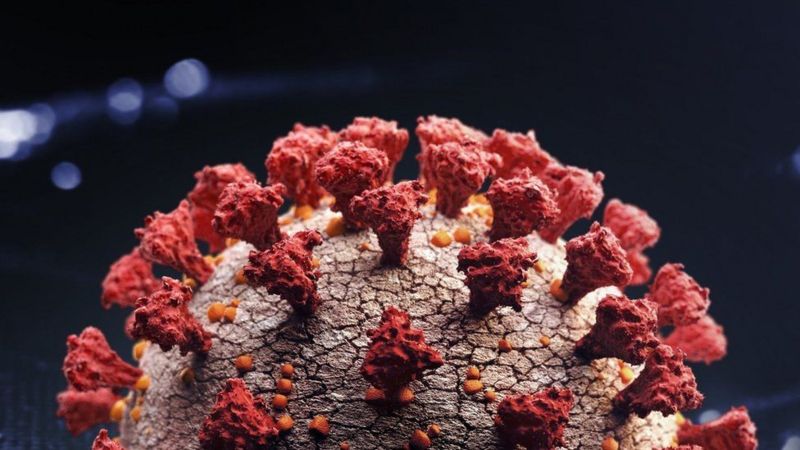 Ómicron: las razones por las que preocupa la variante del coronavirus altamente mutada hallada en Sudáfrica