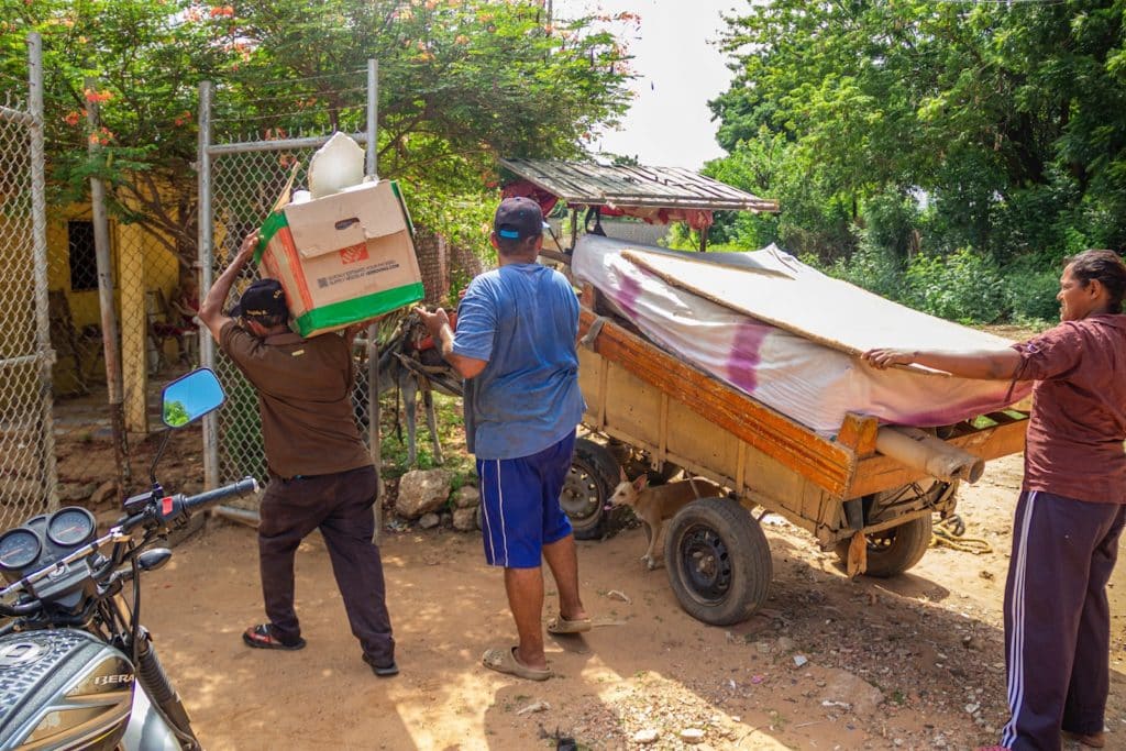 Burros como medio de transporte, una práctica ancestral que toma fuerza en Venezuela