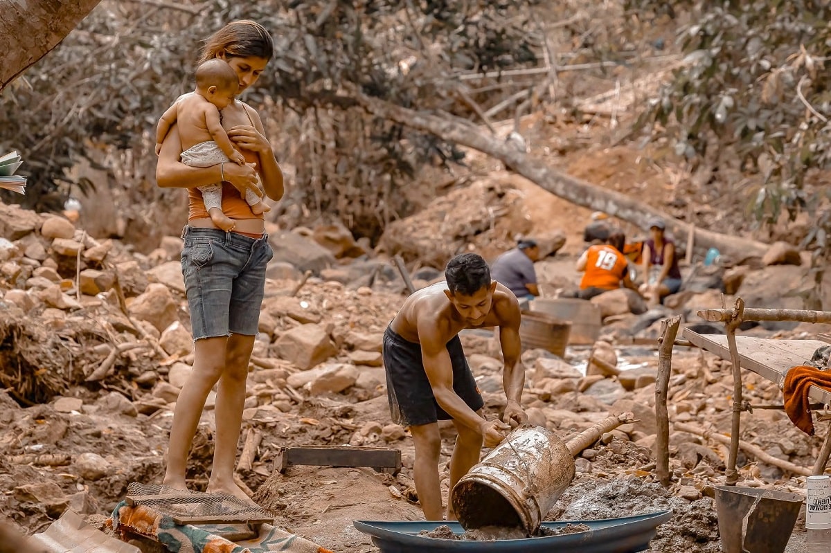 Debido a la minería en la Amazonía es casi imposible recuperar la diversidad de la vegetación