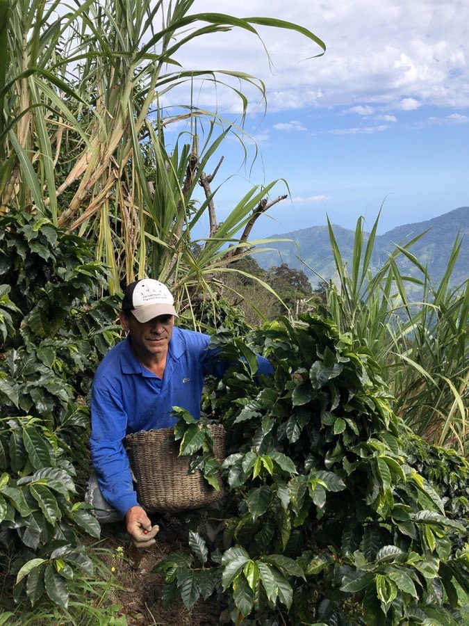 Aves y Café, un programa ambientalista con enfoque sostenible en Venezuela
