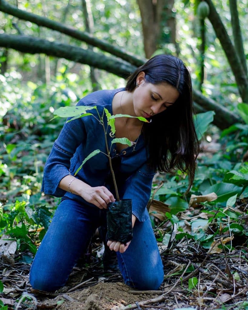 Una chocolatería artesanal venezolana permite que seas guardián de un árbol de cacao