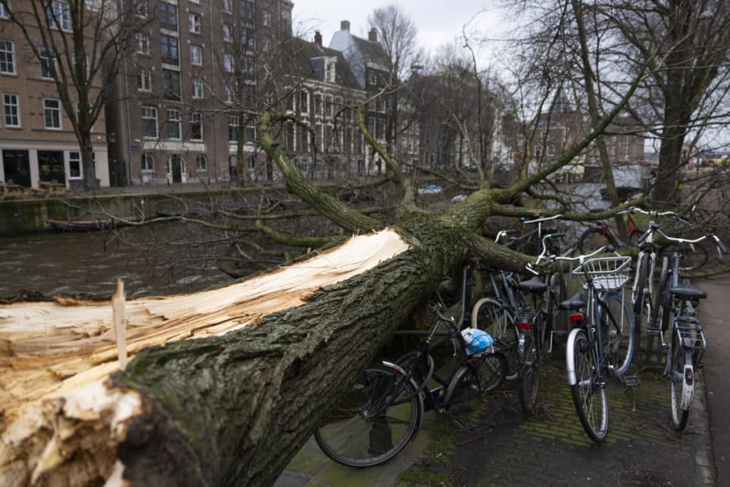 La tormenta Eunice casa daños en Amsterdam