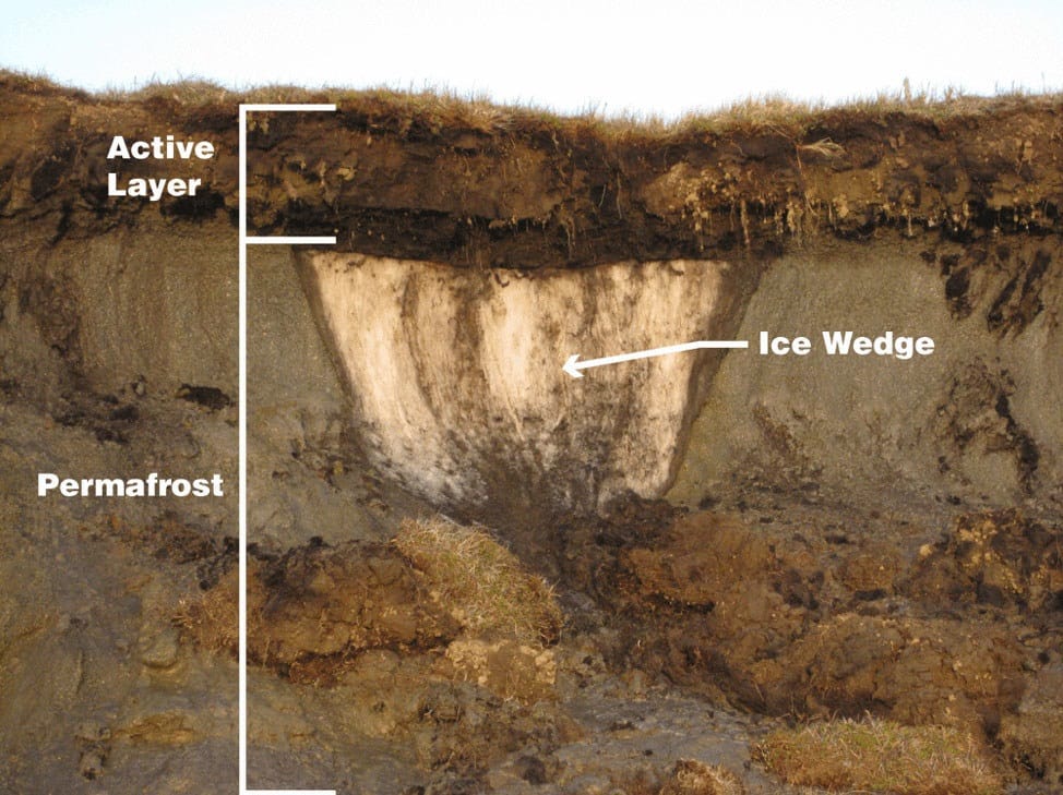¿Qué es el permafrost de la Tierra y por qué la ONU está alertando sobre su derretimiento?