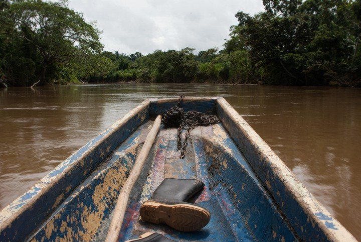Viajaba desde Ecuador: una venezolana falleció cuando intentaba cruzar la selva del Darién en Panamá
