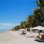 Carnaval 2022: ¿Cuánto cuesta un full day en las costas de Venezuela?