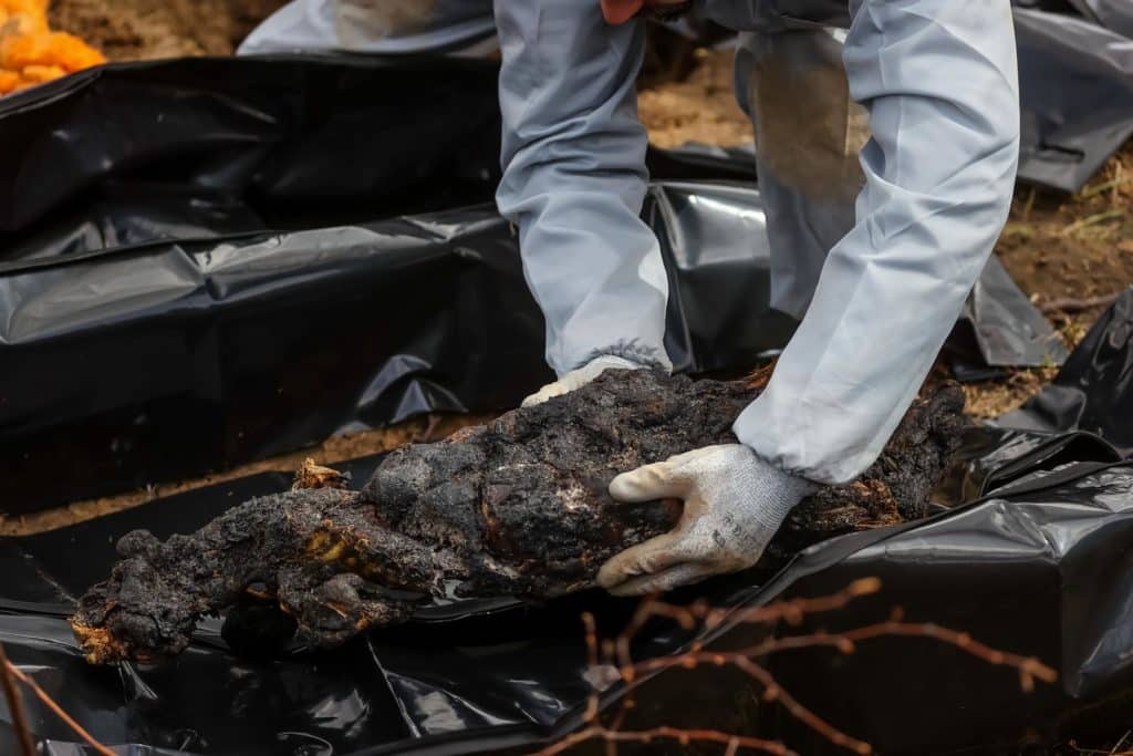 Aumentan las cifras de cadáveres encontrados en fosas comunes en Bucha, Ucrania