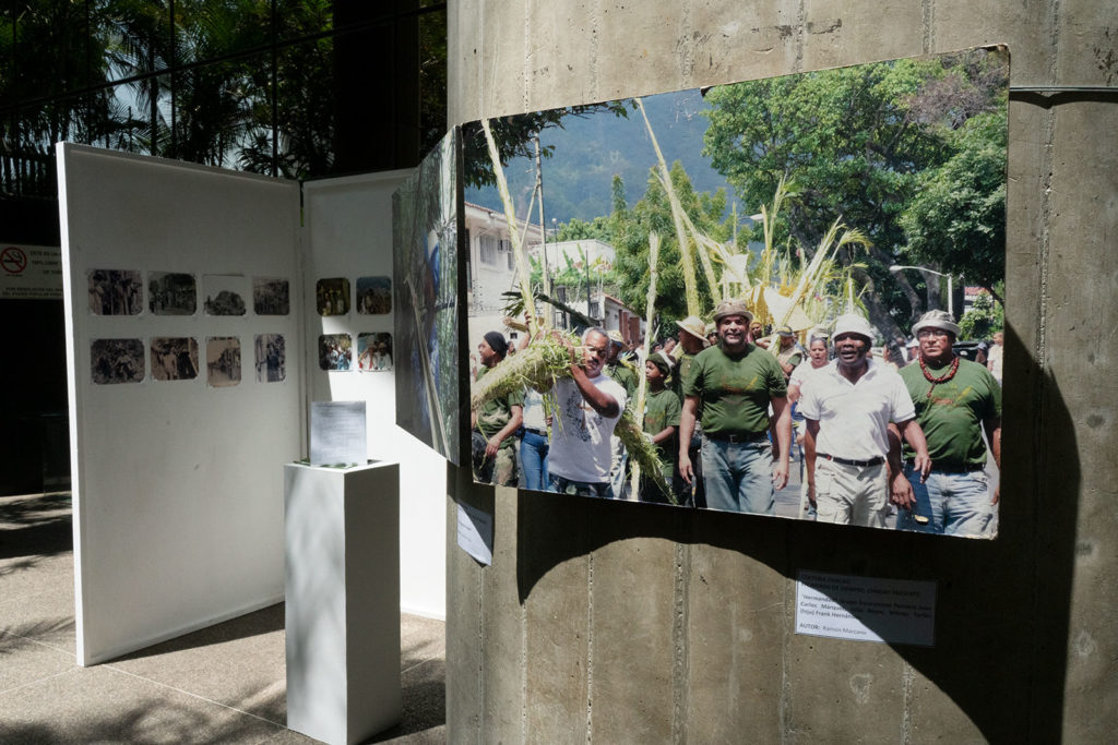 Exposición fotos palmeros chacao