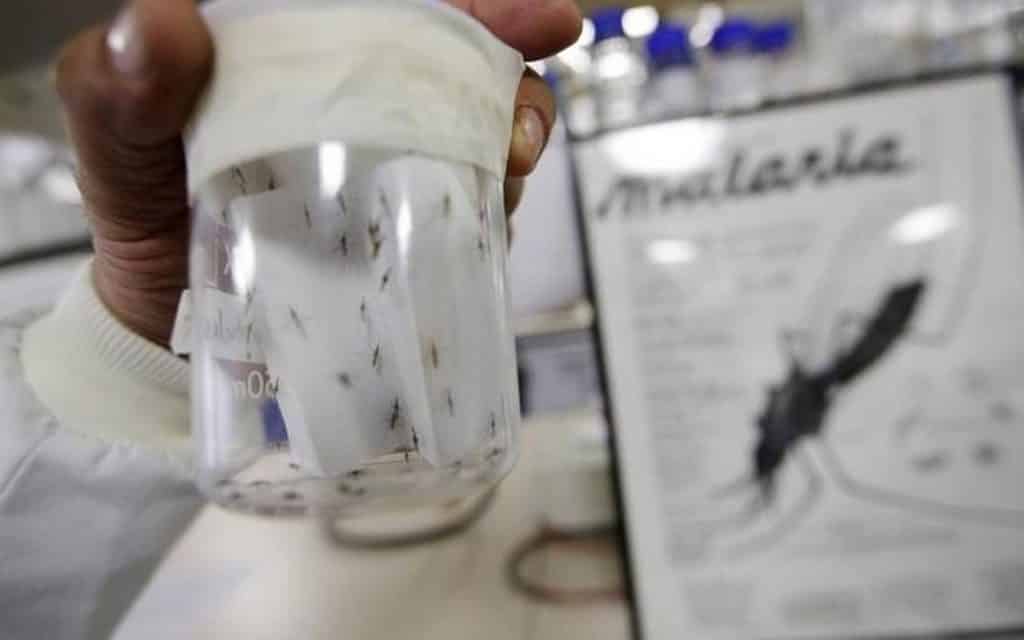 Venezuela registró 2.796 casos de malaria en las dos primeras semanas epidemiológicas de 2022